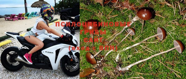 спиды Коряжма